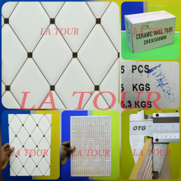 FAIENCE CHINOIS (20x30)CM...