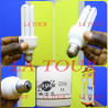 AMPOULE ECONOMIQUE A VIS LIANG 22W 47