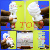 AMPOULE ECONOMIQUE A VIS 15W AKT