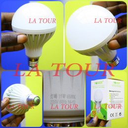 AMPOULE ECONOMIQUE LED A...