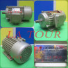 MOTEUR ELECTRIQUE TRIPHASE 3HP GRIS