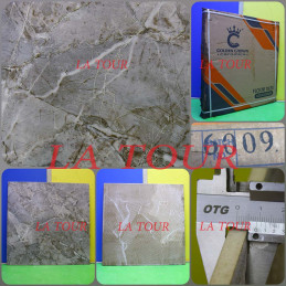 GRES POLI 60x60 REF.(6009)...