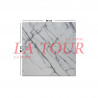 GRES MATE INDIEN 60x60 FOND MARBRE BLANC BRILLANT NOIR