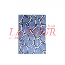 FAIENCE INDIEN (20x30)...