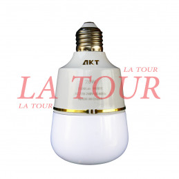 AMPOULE LED 20W PETIT MODEL...