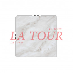 GRES POLI 40x40 AU FOND...