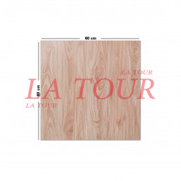 GRES MATE 60x60 TON BOIS...