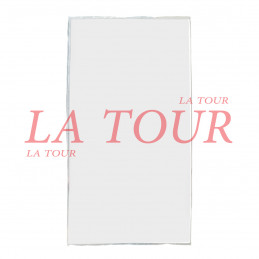 PLEXIGLASS 2446x1225x04MM...