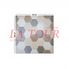 GRES ANTIDERAPANT INDIEN 40x40 MULTI COULEUR