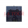 GRES POLI INDIEN 60x60 NOIR DORE