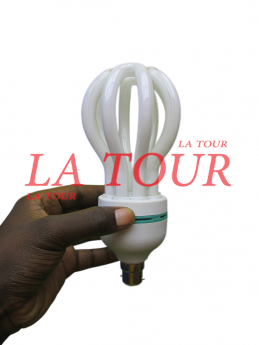 AMPOULE ECONOMIQUE A...
