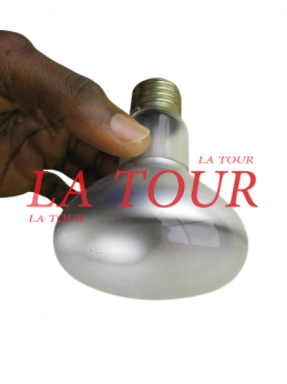 AMPOULE SPHERIQUE A VIS E27...