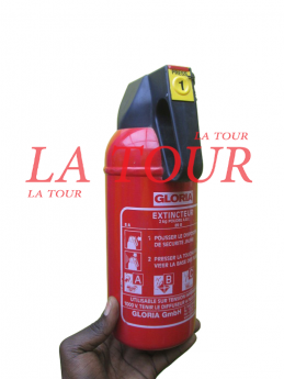 EXTINCTEUR A POUDRE 02KG...