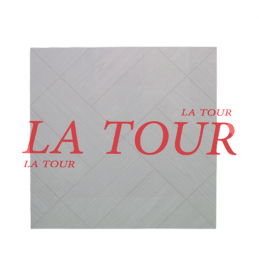 GRES POLI CHINOIS 50x50...