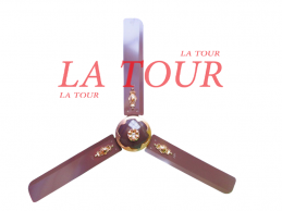 BRASSEUR D'AIR STC 70W 230V...