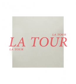 FAUX PLAFOND...