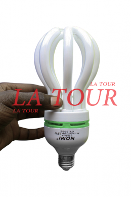 AMPOULE ECONOMIQUE A VIS...